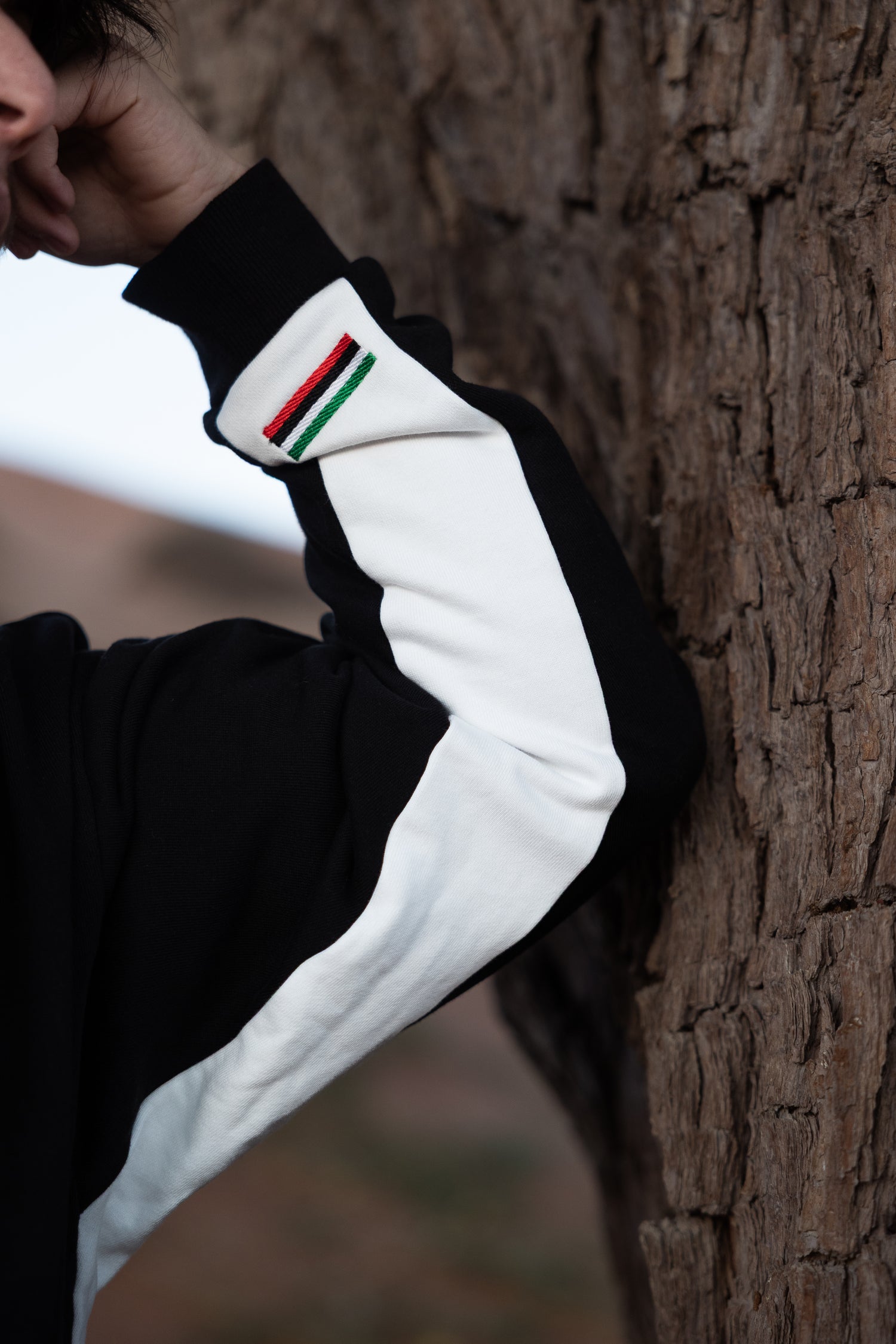 Black Hoodie “بلاد تصنع السلام”